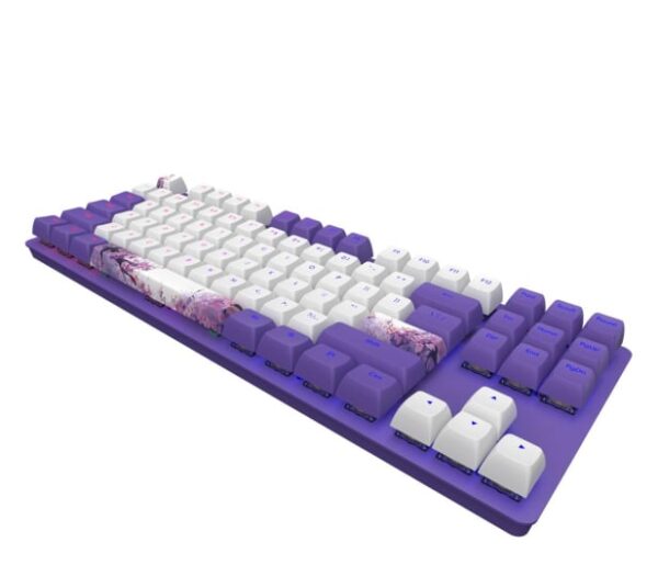 Dark-Project-DPO87-Violet-Horizon-Combo-G3MS-Sapphire-3.jpeg