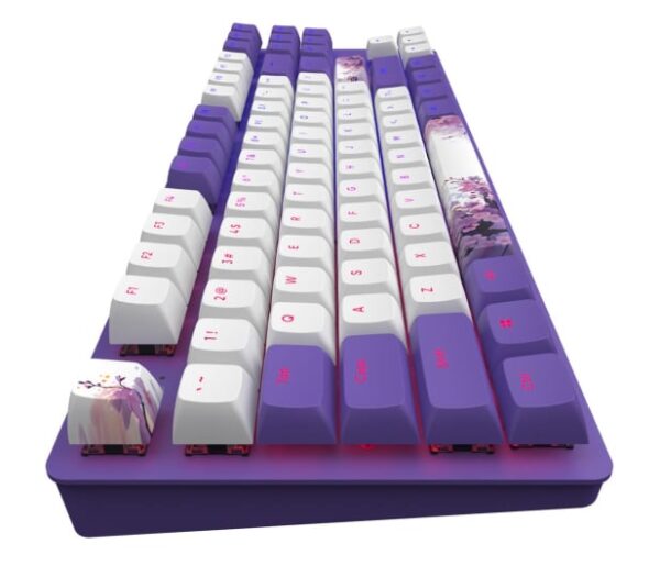 Dark-Project-DPO87-Violet-Horizon-Combo-G3MS-Sapphire-4.jpeg